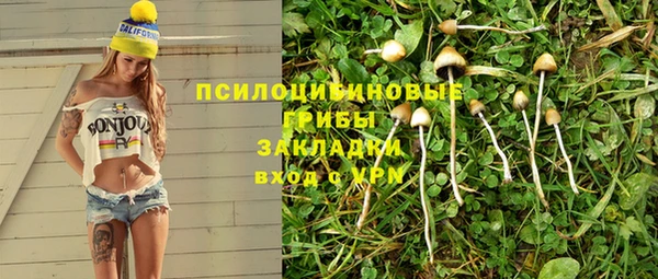 а пвп мука Алзамай