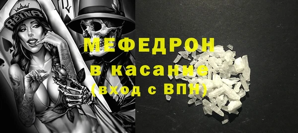 индика Абаза