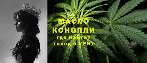 индика Абаза