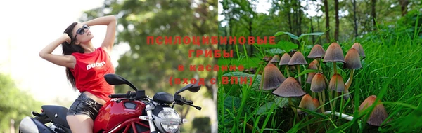 а пвп мука Алзамай