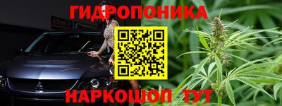 сатива Краснознаменск