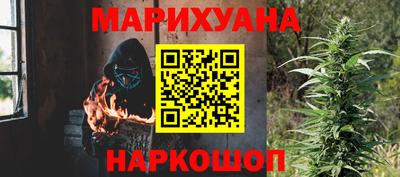 сатива Краснознаменск
