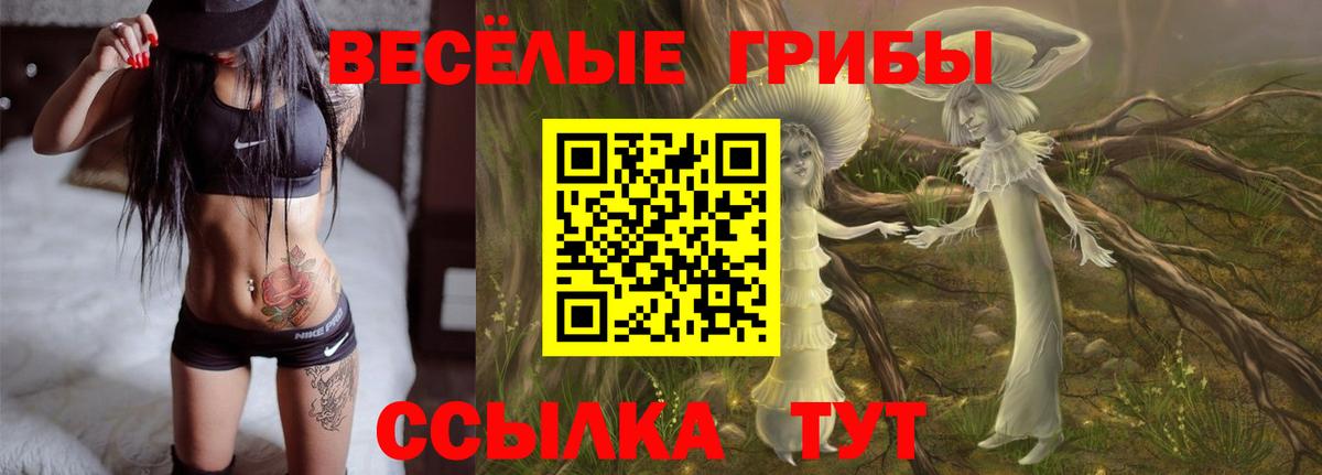 Галлюциногенные грибы MAGIC MUSHROOMS Иваново