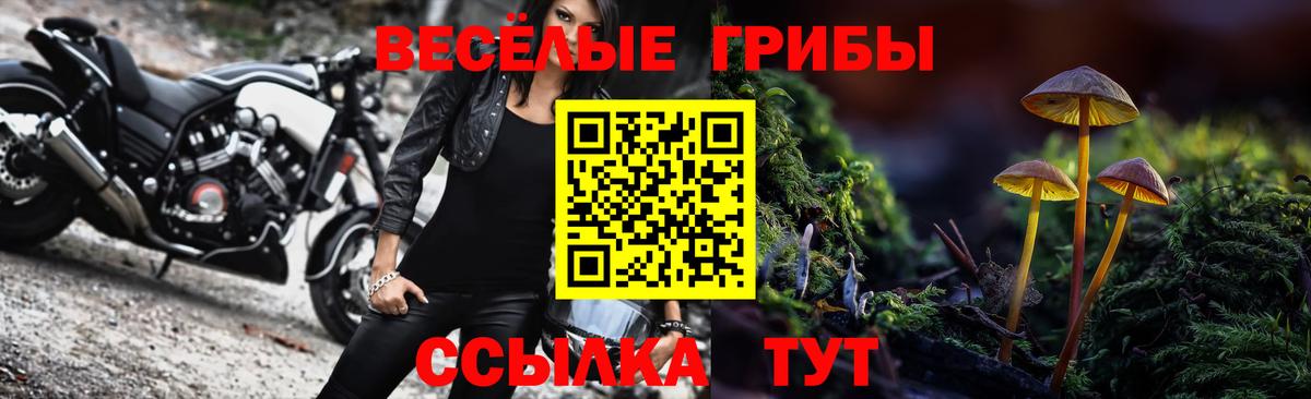 Иваново  Псилоцибиновые грибы Magic Shrooms  Галлюциногенные грибы Cubensis  Вход с VPN 